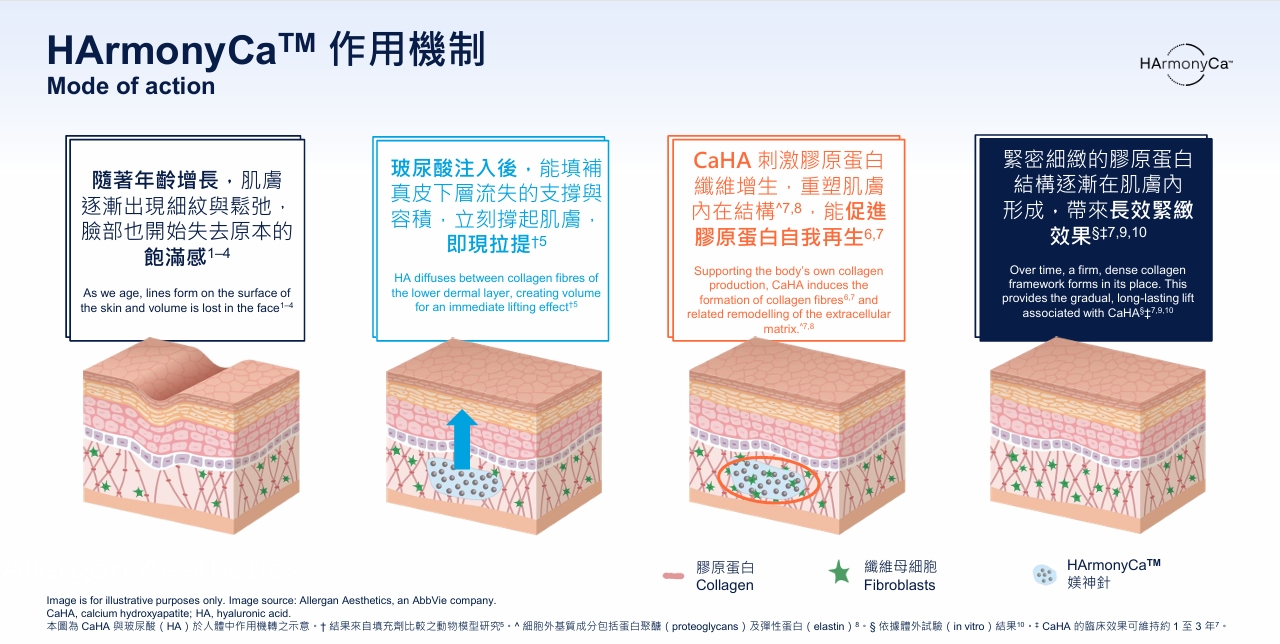 媄神針作用機制